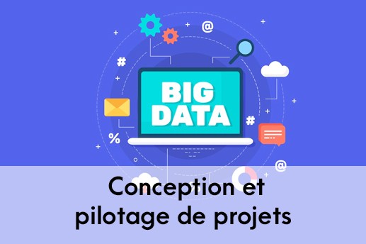 Conception et pilotage de projets Big Data