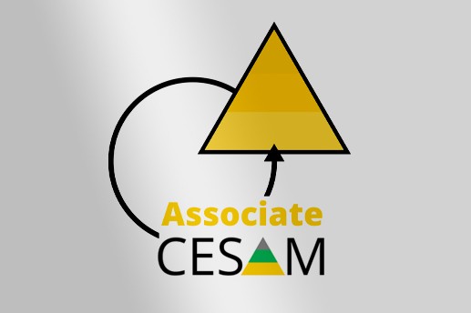 Préparation à la certification Architecture Système CESAM  Associate
