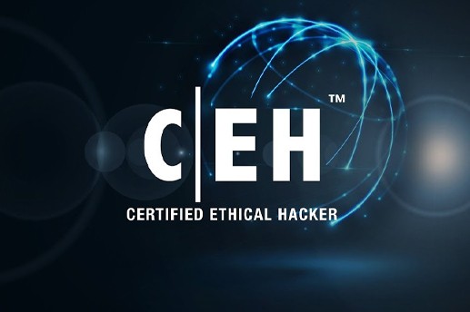 CEH V11- Ethical Hacking