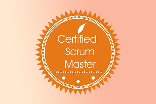 Scrum Master et préparation à la certification SCRUM.ORG