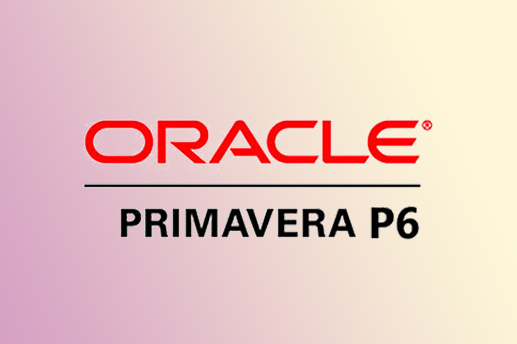 Oracle PRIMAVERA P6